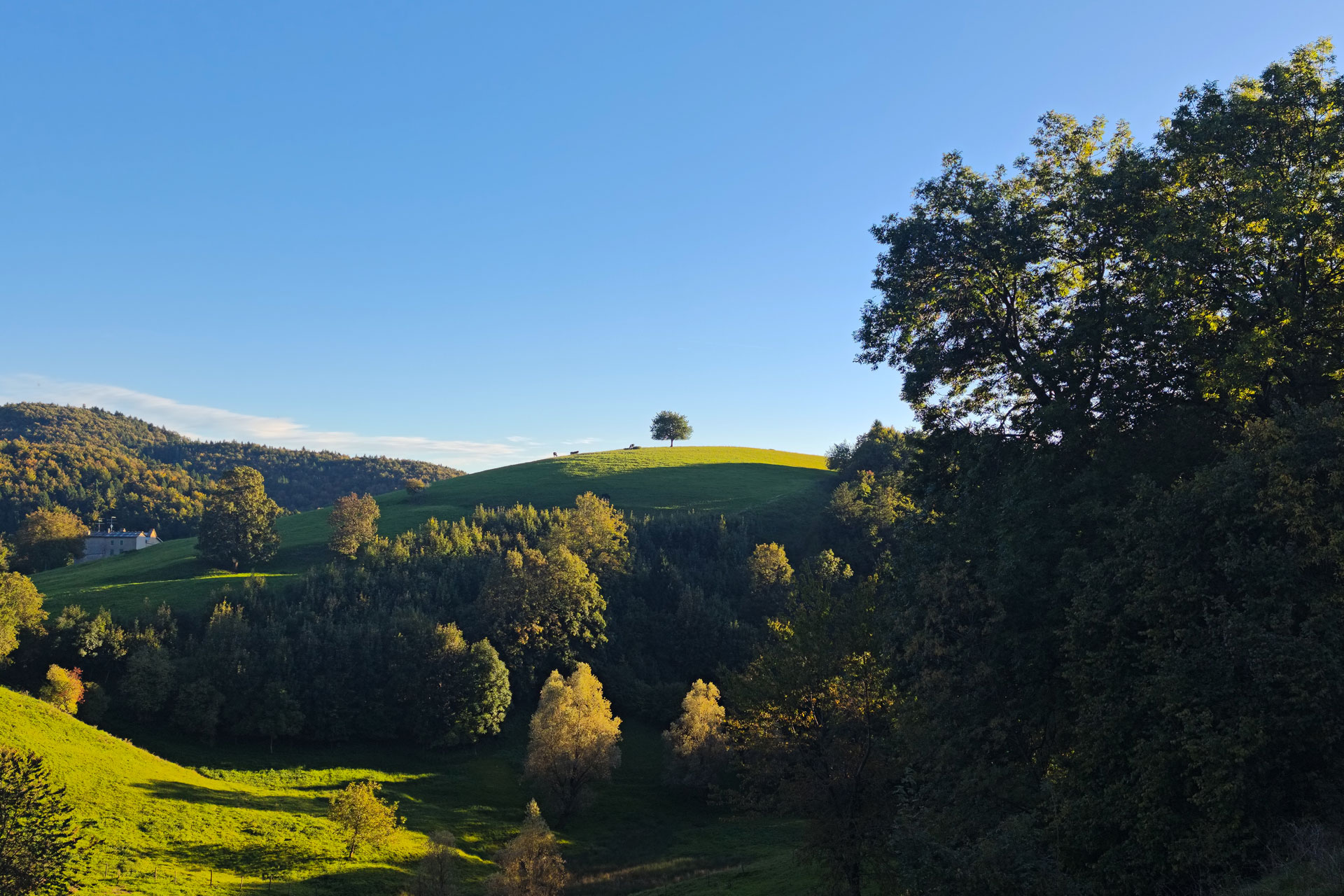 Luca-Bonafini-Slider-desktop