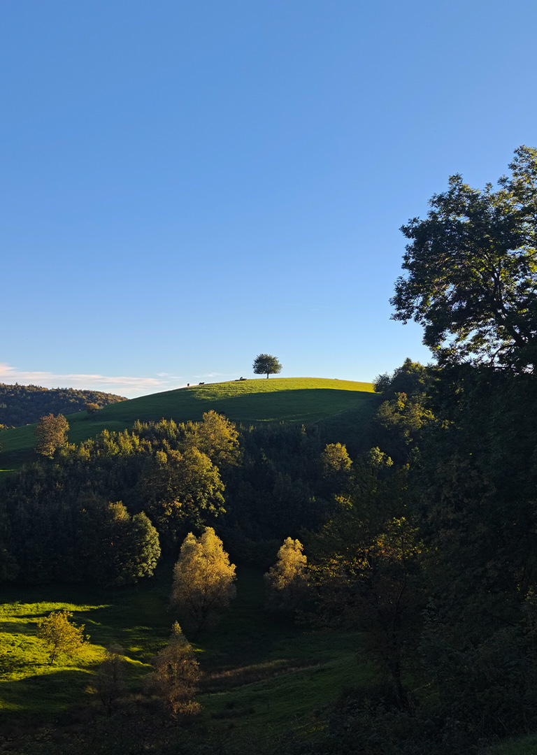 Luca-Bonafini-Slider1-mobile